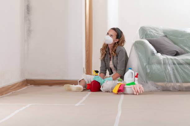 Reliable Mold Removal contractor in Redmond, OR by Car Mold Remediation