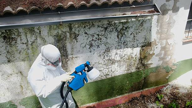 Top rated local Mold Removal specialists in Redmond, OR